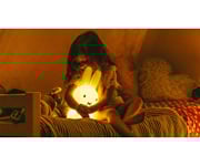 Prima Luce Coniglietto Miffy
