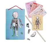 Magnetic Human Body Puzzle