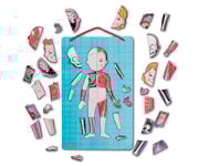 Magnetic Human Body Puzzle
