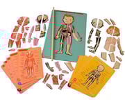 Magnetic Human Body Puzzle