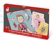 Magnetic Human Body Puzzle