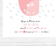 Lmina Personalizada Nacimiento Rosa