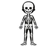 4 Puzzle Educativi Il Corpo Umano