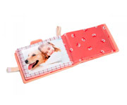 Alice Photo Album