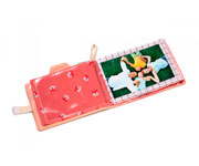 Alice Photo Album