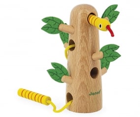 Tropical Cord Tree