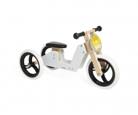 2-in-1 Tricycle