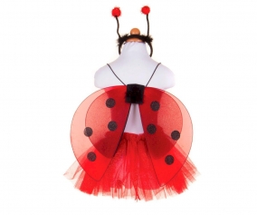 Ladybug Glitter Costume Set 4-6 Years