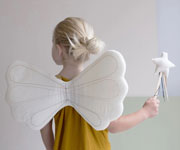 Rainbow Wings