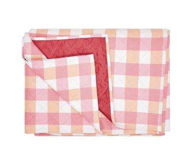 Manta Praia e Picnic Strawberry