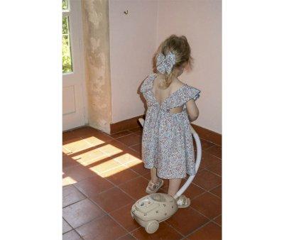 Aspirateur Vacuum Cleaner Cherry