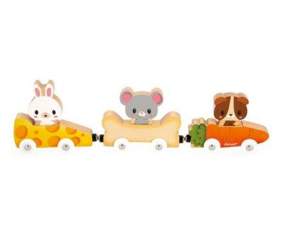 Animais de Companhia Magnticos