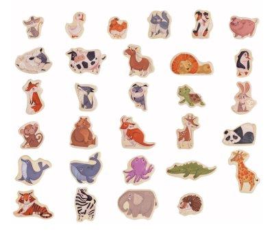 Animali Magnetici Hape