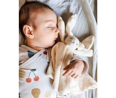 Doudou Coelho Personalizvel