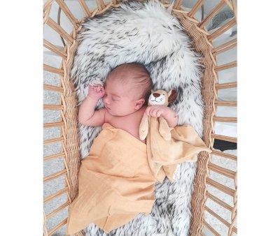 Doudou Lion Personnalisable