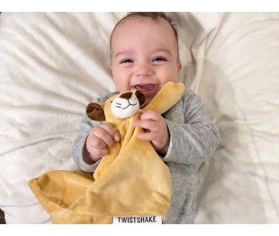 Doudou Lion Personnalisable