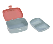 Lunchbox + Fox Water Bottle