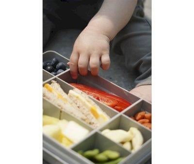 Snackle Box Grey
