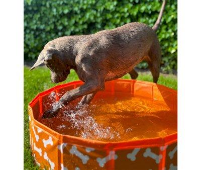 Foldable Dog Pool Orange Bones