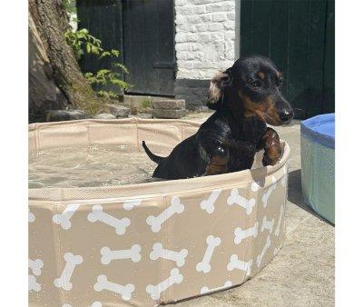 Beige Bone Foldable Dog Pool