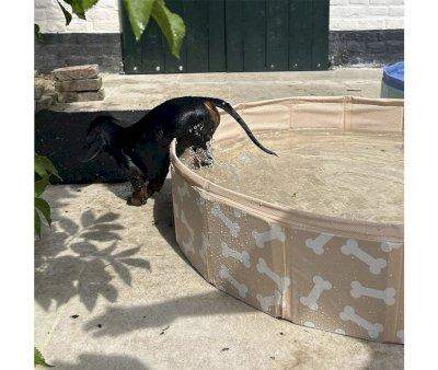 Beige Bone Foldable Dog Pool