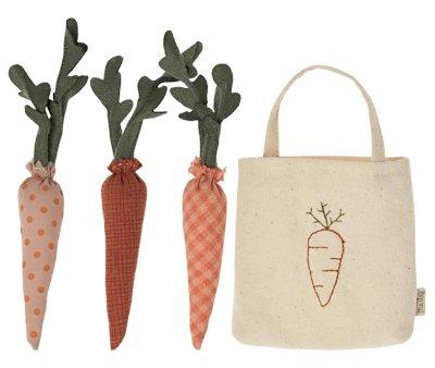 Carrots in Mini Shopping Bag