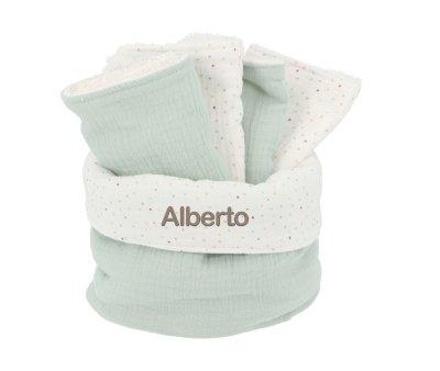 Basket with Rainbow Dots Green Personalized Bib
