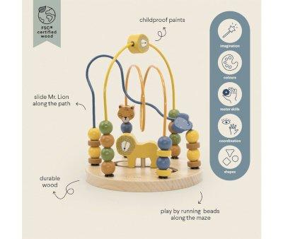 Animal Mr. Lion's Account Maze
