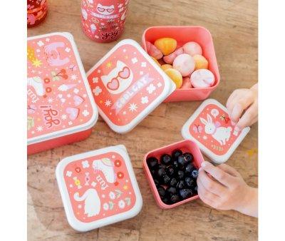 4 Lunch and Snack Fun Boxes