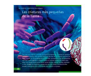 Livro Educacional O Mundo Invisvel