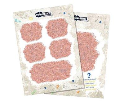 PhnoMINT Esperimenti con Luce e Colore