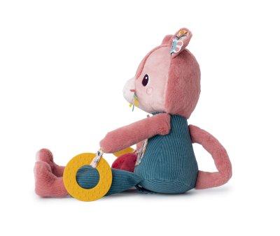 Jeanne The Multi-Activity Cat