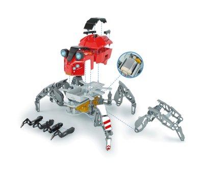 Spider-Bot