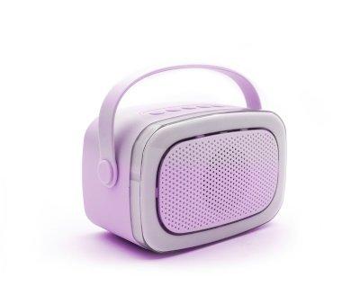 Karaoke Party con 2 Microfoni Purple