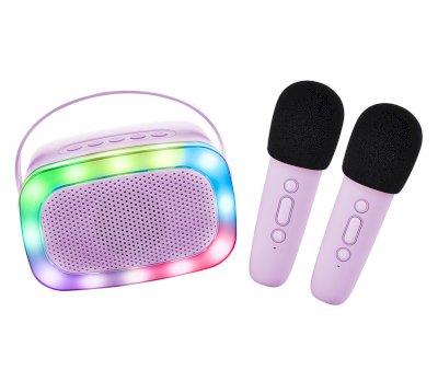 Karaoke Party con 2 Microfoni Purple