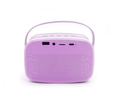Karaoke Party con 2 Microfoni Purple