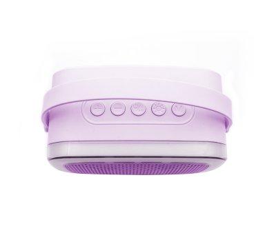 Karaoke Party con 2 Microfoni Purple
