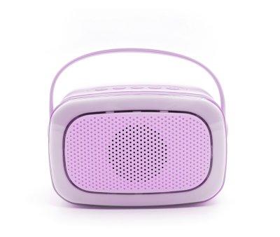 Karaoke Party con 2 Microfoni Purple