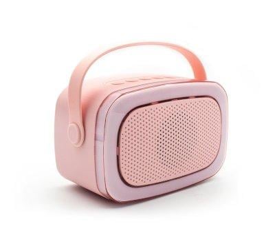 Karaoke Party con 2 Microfoni Pink