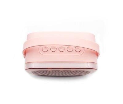 Karaoke Party con 2 Microfoni Pink