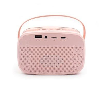 Karaoke Party con 2 Microfoni Pink