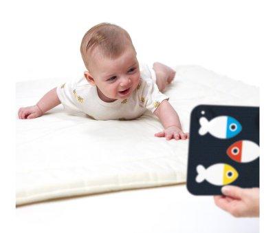 High Contrast Baby Cards
