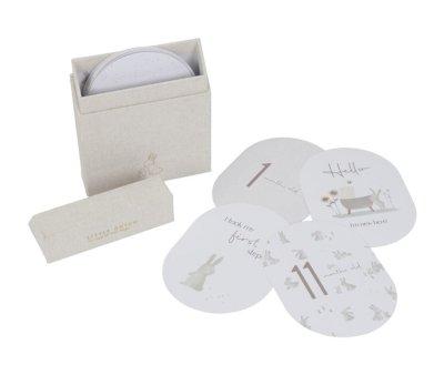 Tarjetas cumple meses Baby Bunny