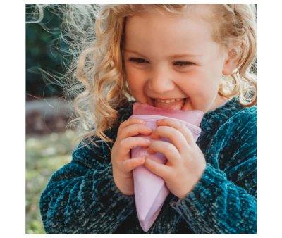 Coni  Gelato Silicone Sunnie Ice Blocks Australiana Retro
