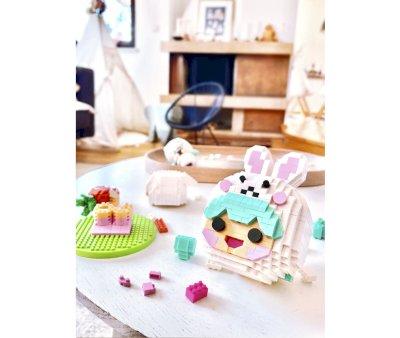 Mini Bricks Pascale 851 Pices