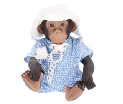 Lola The Chimpanzee with Poplin Polka Dot Royal Top and Fisherman Hat
