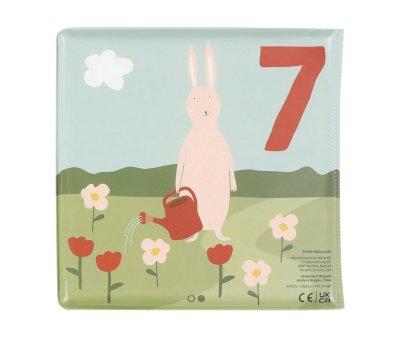 Livre de Bain pour Compter Mr. Fox et ses Amis