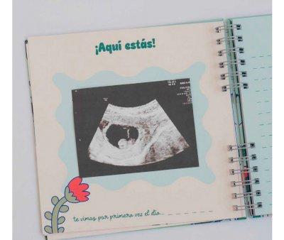 Livro de gravidez  (Espaol)