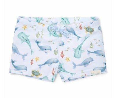Baador Bxer Ocean Sea Life Multicolor