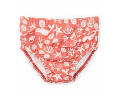 Baador Paal Ocean Sea Life Coral Rojo